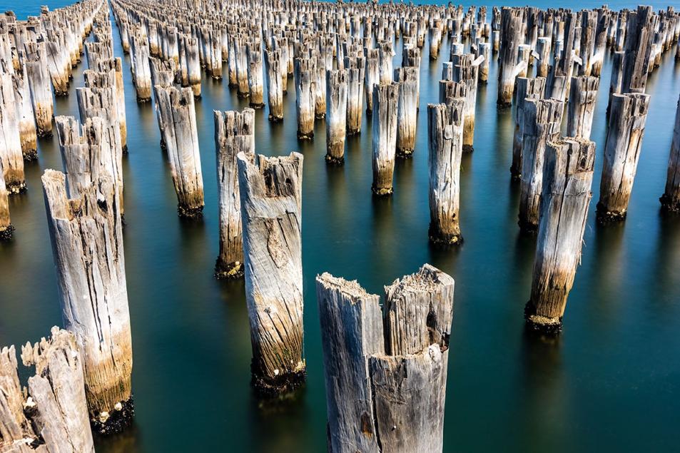 Click image for larger version

Name:	Princes Pier Pilings.jpg
Views:	73
Size:	133.5 KB
ID:	484720