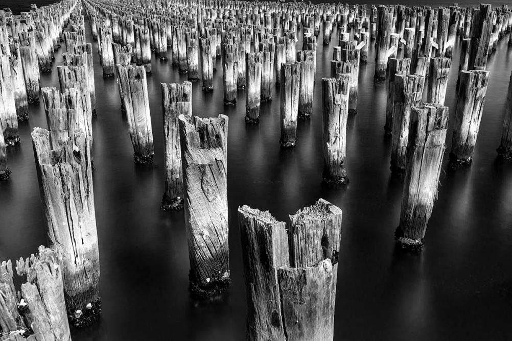 Click image for larger version

Name:	Princes Pier Pilings (B-W sliders).jpg
Views:	93
Size:	133.0 KB
ID:	484722