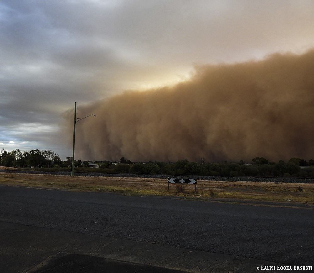 Click image for larger version

Name:	Dust Wall 07-05-2019 (47).jpg
Views:	84
Size:	376.1 KB
ID:	484846