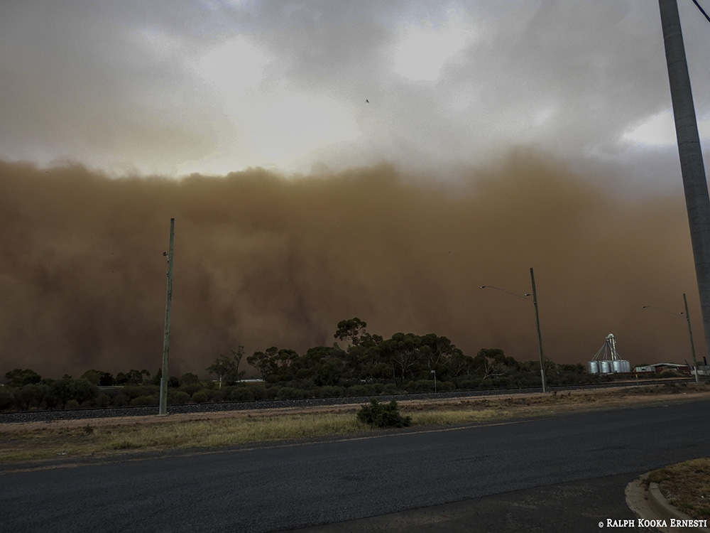 Click image for larger version

Name:	Dust Wall 07-05-2019 (49).jpg
Views:	76
Size:	318.3 KB
ID:	484847