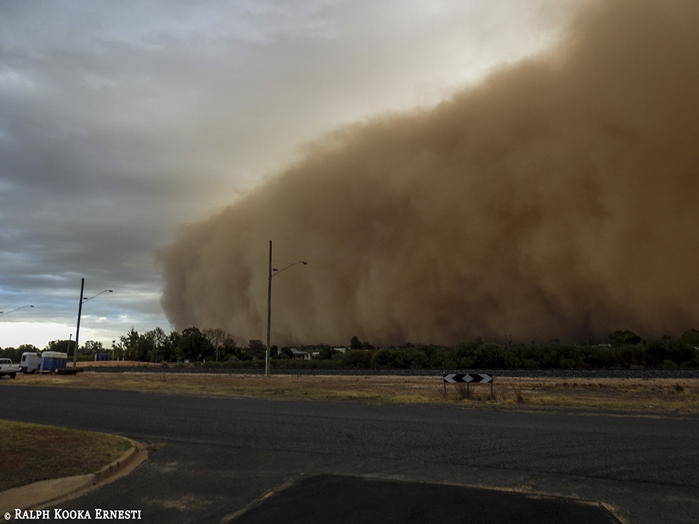 Click image for larger version

Name:	Dust Wall 07-05-2019 (69).jpg
Views:	87
Size:	311.0 KB
ID:	484849