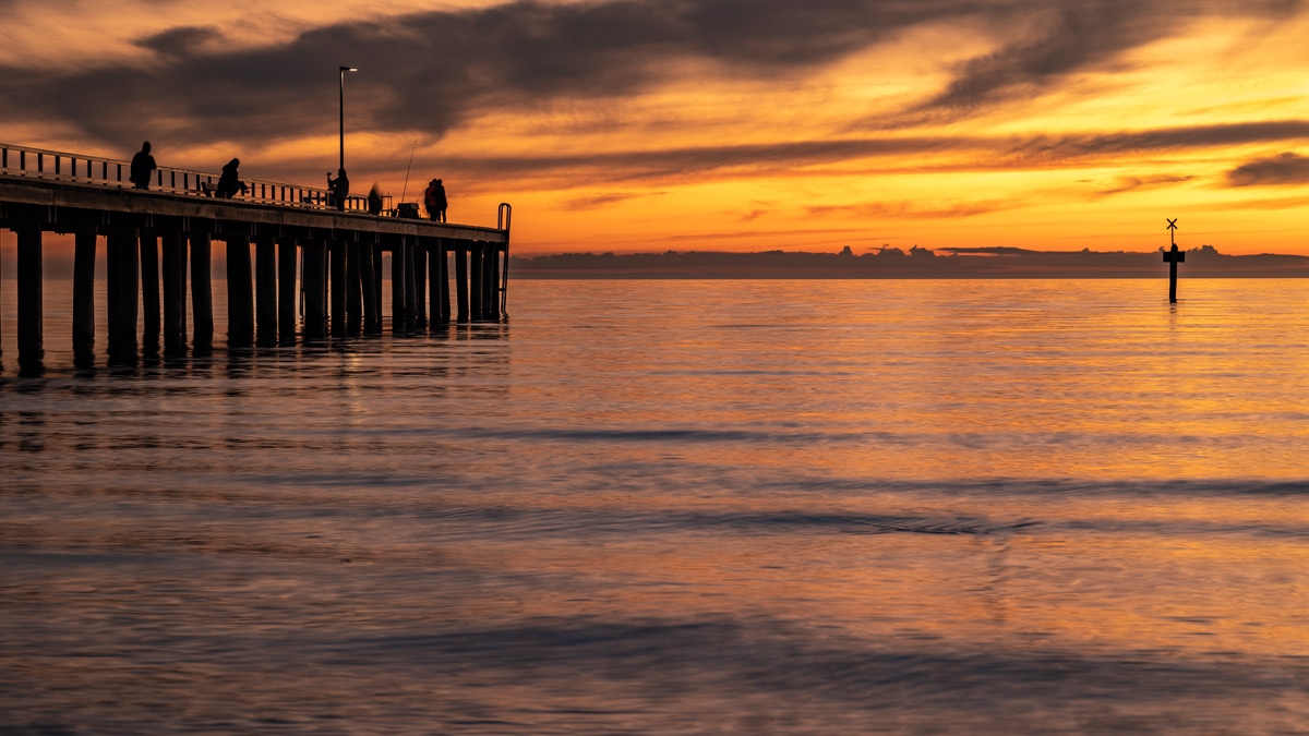 Click image for larger version  Name:	Seaford Jetty 122 (crop).jpg Views:	0 Size:	444.5 KB ID:	487233