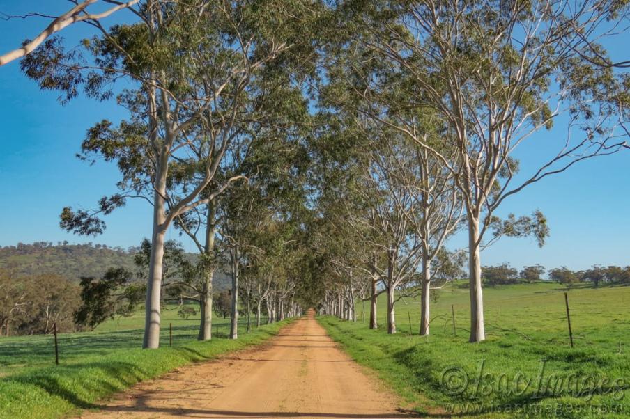 Click image for larger version

Name:	4765-Farm_Driveway_Toodyay.jpg
Views:	70
Size:	125.5 KB
ID:	487363