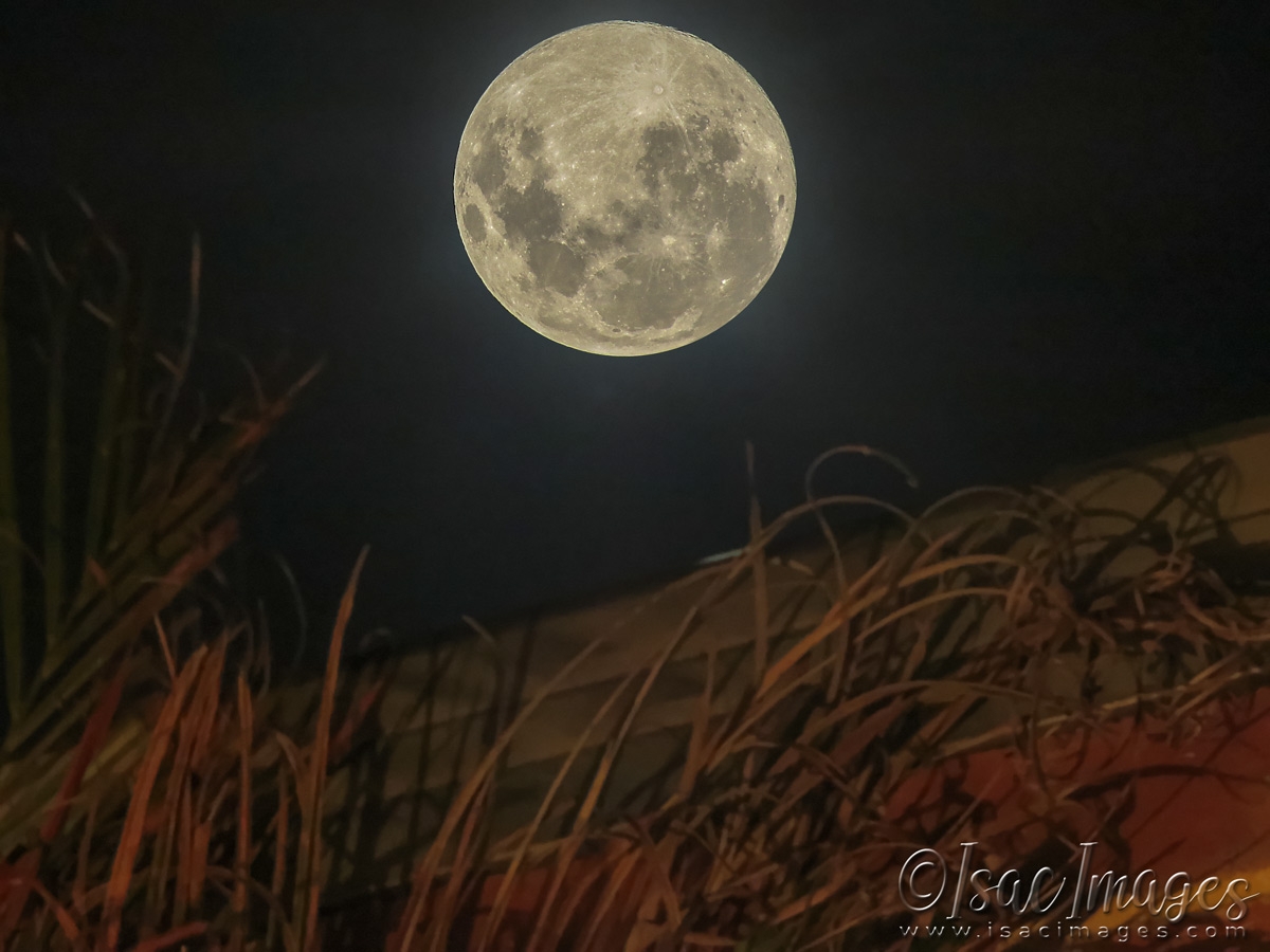 Click image for larger version

Name:	2263-Full_Moon.jpg
Views:	64
Size:	408.3 KB
ID:	483488