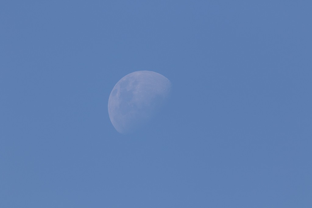 Click image for larger version

Name:	73% Moon (SOOC).jpg
Views:	160
Size:	24.2 KB
ID:	469120