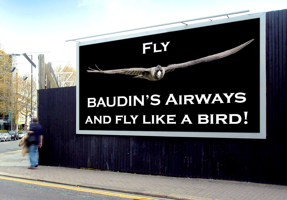 Click image for larger version

Name:	Baudin_Airways_2.jpg
Views:	130
Size:	304.2 KB
ID:	491454