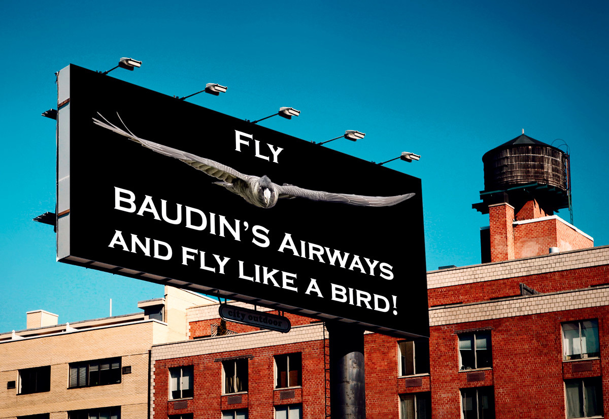 Click image for larger version

Name:	Baudin_Airways_1.jpg
Views:	120
Size:	298.4 KB
ID:	491455