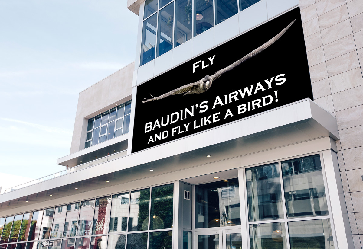 Click image for larger version

Name:	Baudin_Airways_3.jpg
Views:	122
Size:	305.8 KB
ID:	491457