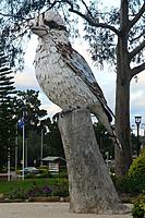 Click image for larger version

Name:	Another Kooka.jpg
Views:	86
Size:	343.9 KB
ID:	485248