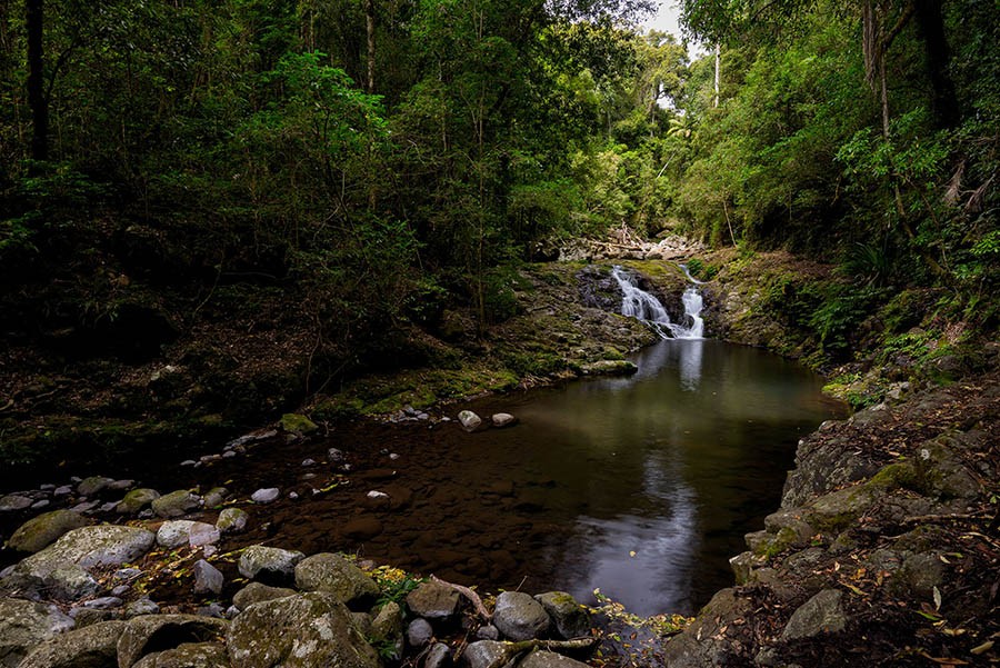 Pool on West Canungra Creek