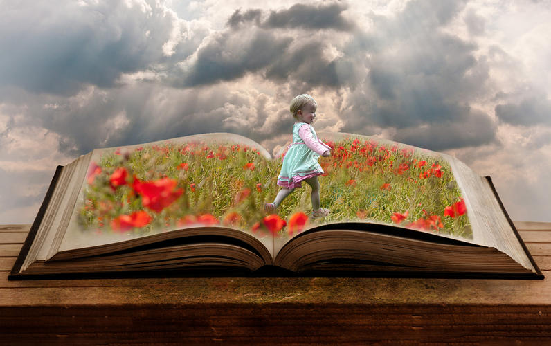 Click image for larger version

Name:	book&amp;sky&amp;poppies&amp;lol.jpg
Views:	195
Size:	115.7 KB
ID:	493501