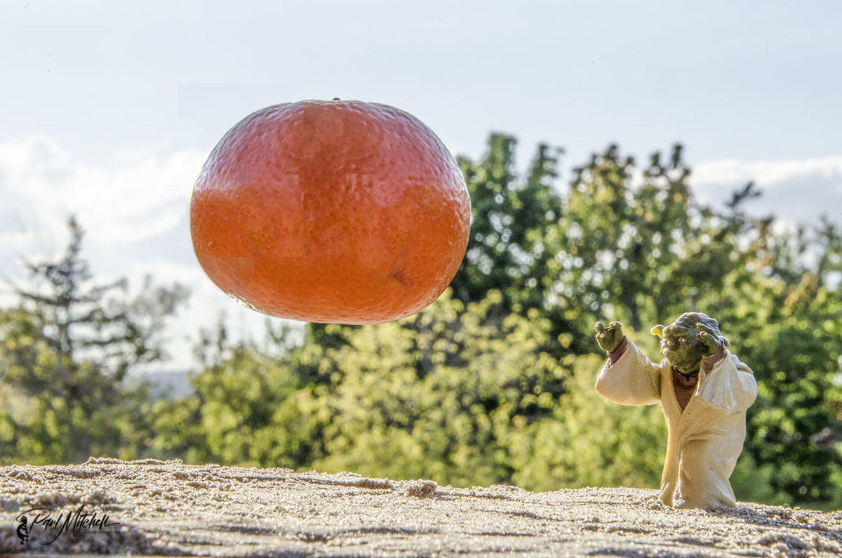 Click image for larger version

Name:	DSC_7718 Yoda Levitating Orange EgoLR.jpg
Views:	86
Size:	186.4 KB
ID:	490326