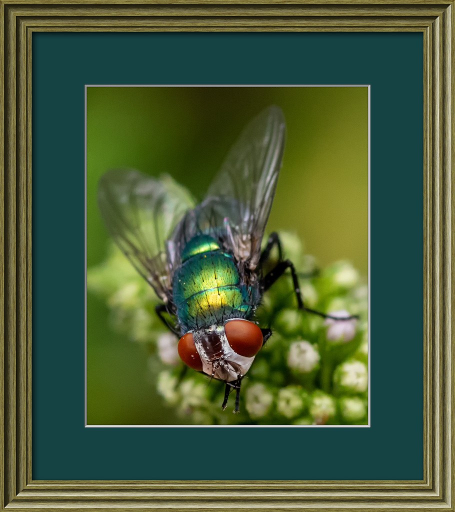 Click image for larger version

Name:	Wooden Frame.jpg
Views:	153
Size:	164.7 KB
ID:	469373