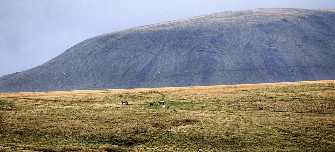 Click image for larger version

Name:	Ponies on Brecon Beacons2.jpg
Views:	82
Size:	292.1 KB
ID:	495825