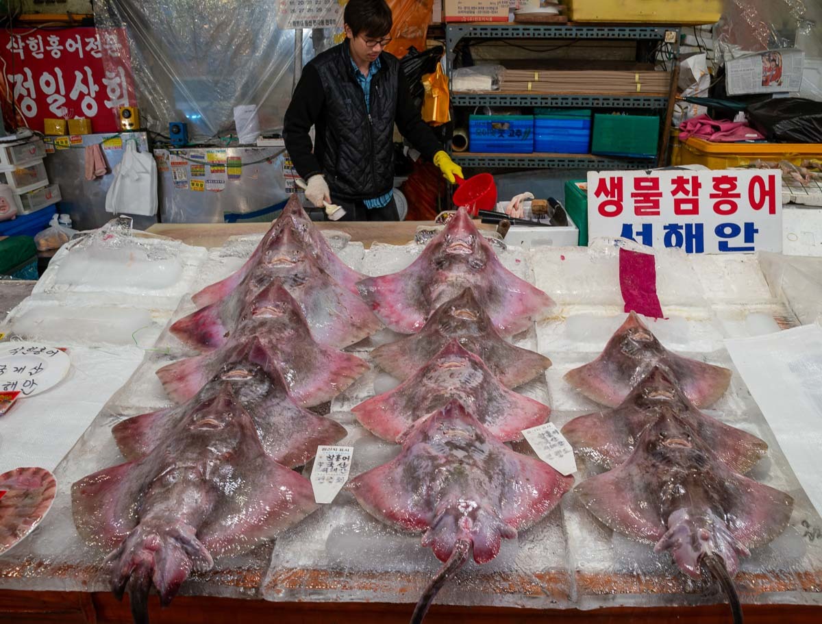 Click image for larger version

Name:	Seoul_20121119_0006-Edit.jpg
Views:	45
Size:	312.9 KB
ID:	500203