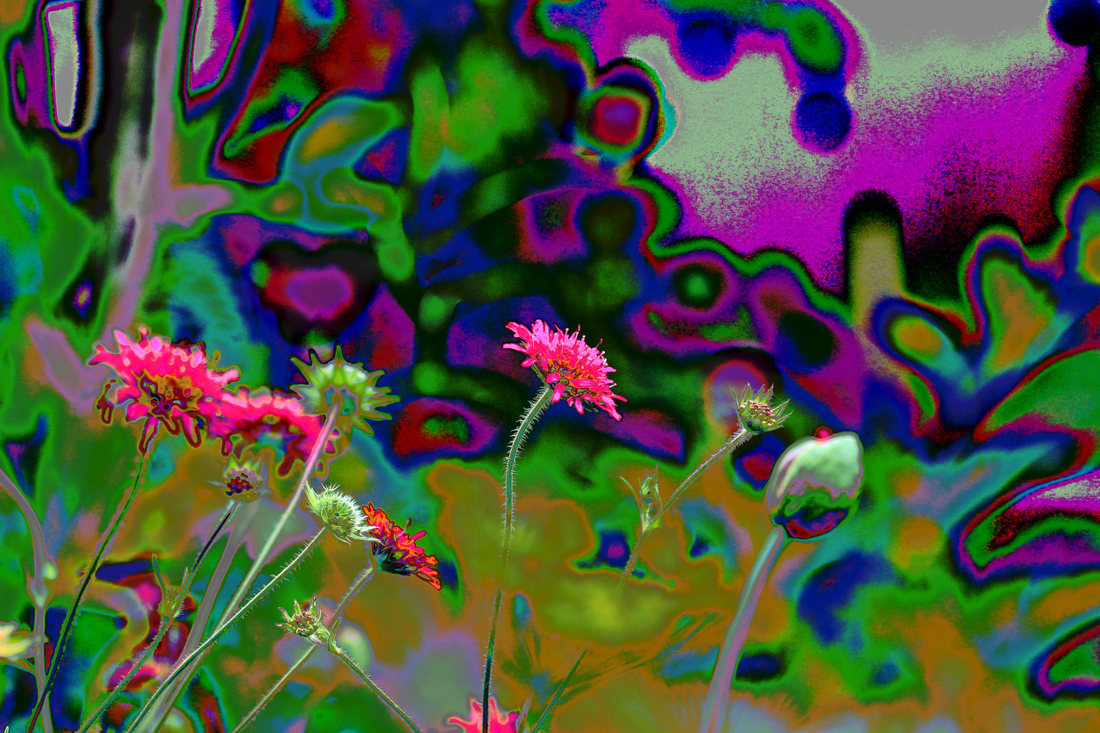 Click image for larger version

Name:	Psychedelic.jpg
Views:	70
Size:	290.3 KB
ID:	500669