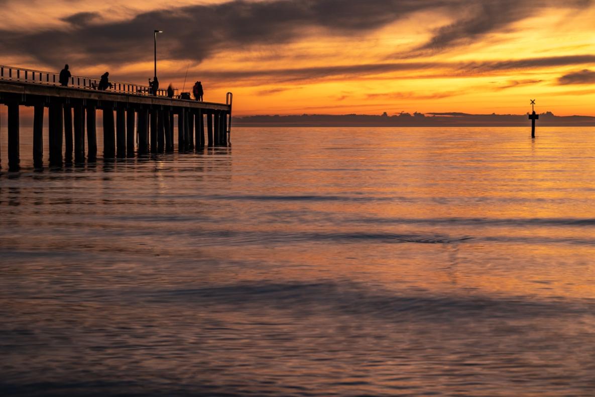 Click image for larger version  Name:	Seaford Jetty 122.jpg Views:	0 Size:	106.1 KB ID:	487232