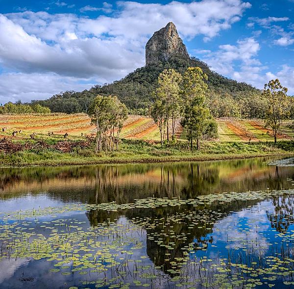 Click image for larger version

Name:	051-53-pano-Mt-Coonowrin.jpg
Views:	88
Size:	231.9 KB
ID:	395293