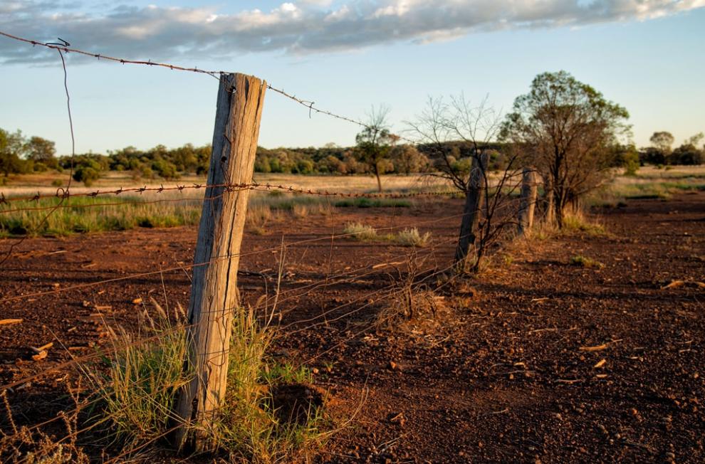 Fence in morning sun