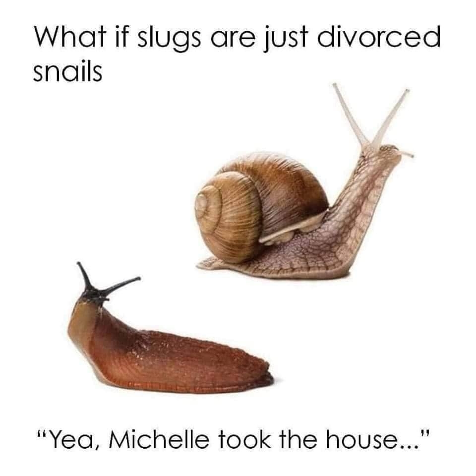 Click image for larger version

Name:	Snail.jpg
Views:	74
Size:	123.9 KB
ID:	488065