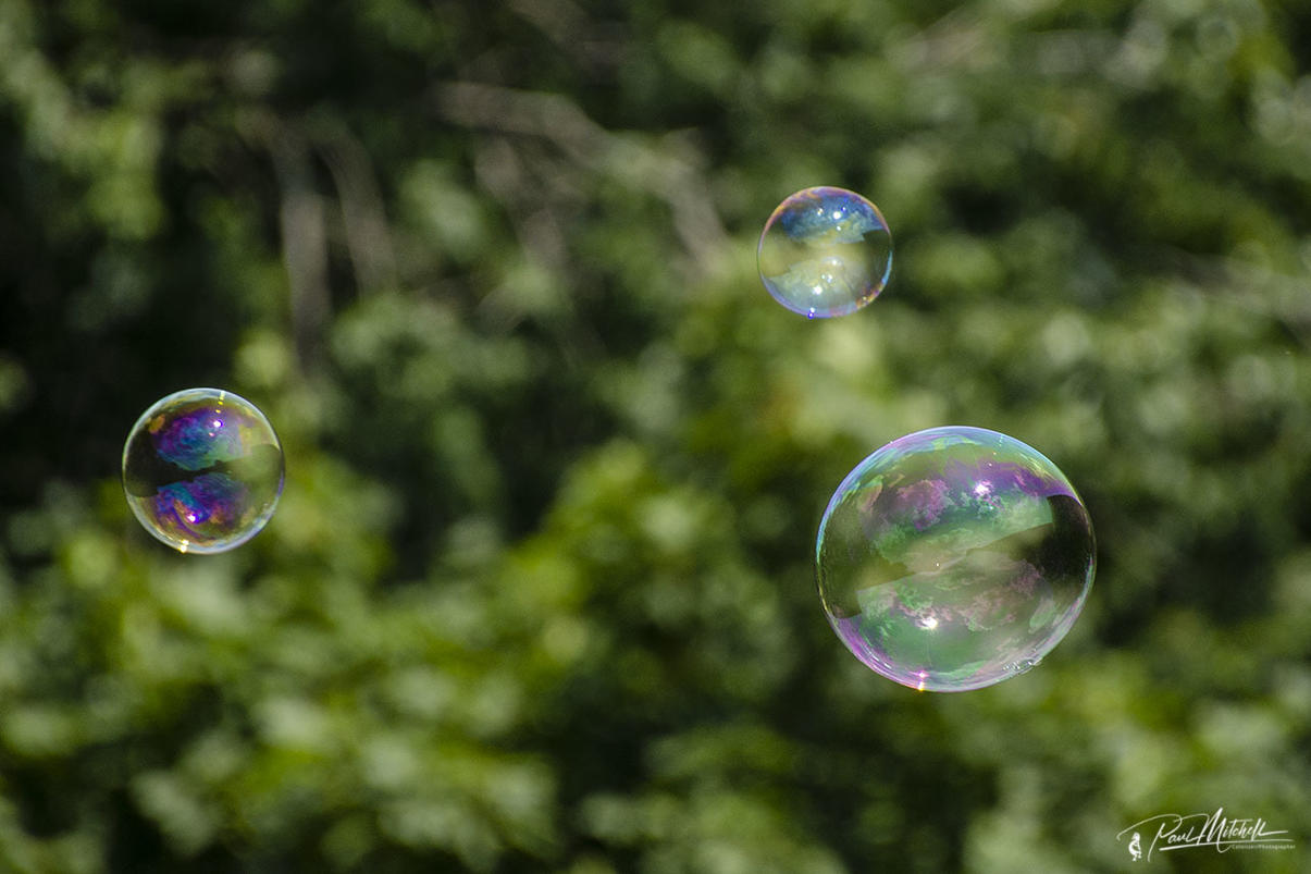 Click image for larger version

Name:	DSC_0369 Bubbles CCEgoLR.jpg
Views:	32
Size:	116.9 KB
ID:	508877