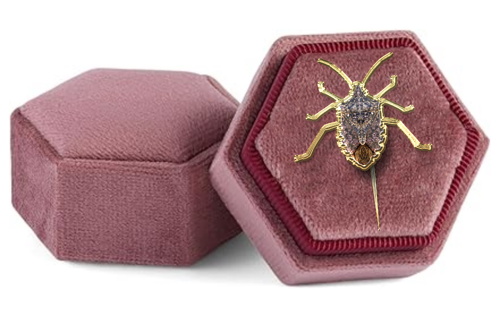 Click image for larger version

Name:	Stink-Bug-Brooch.jpg
Views:	35
Size:	271.5 KB
ID:	510027