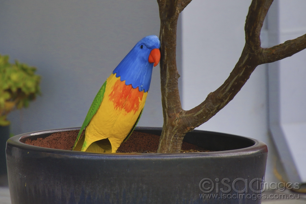 Click image for larger version

Name:	4656-Leaning_Pot_Parrot.jpg
Views:	104
Size:	352.0 KB
ID:	475191