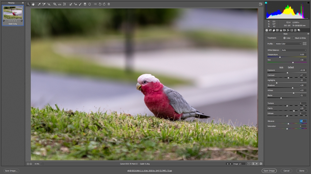 Click image for larger version

Name:	Galah Settings.jpg
Views:	39
Size:	288.0 KB
ID:	469825