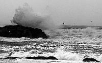 Click image for larger version

Name:	Wave bw.jpg
Views:	70
Size:	167.8 KB
ID:	355588