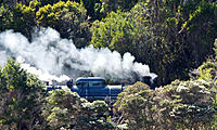 Click image for larger version

Name:	Bush train.jpg
Views:	66
Size:	201.5 KB
ID:	358650