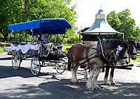 Click image for larger version

Name:	Carriage.jpg
Views:	63
Size:	252.5 KB
ID:	360775