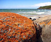 Click image for larger version

Name:	Orange rock.jpg
Views:	64
Size:	254.5 KB
ID:	363041