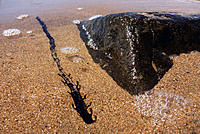 Click image for larger version

Name:	Seaweed 2.jpg
Views:	60
Size:	250.9 KB
ID:	363042