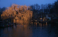 Click image for larger version

Name:	Duck pond..jpg
Views:	79
Size:	152.0 KB
ID:	365399