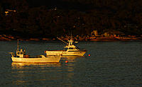 Click image for larger version

Name:	Morning light on the Bay..jpg
Views:	69
Size:	118.3 KB
ID:	366026