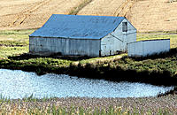 Click image for larger version

Name:	Barn in watercolour..jpg
Views:	74
Size:	241.6 KB
ID:	369711