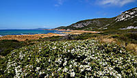 Click image for larger version

Name:	East Rocky Cape.jpg
Views:	84
Size:	239.1 KB
ID:	370150