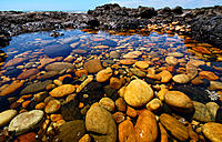 Click image for larger version

Name:	Rockpool.JPG
Views:	83
Size:	384.8 KB
ID:	371355