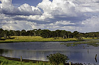 Click image for larger version

Name:	565-Wetlands.jpg
Views:	55
Size:	287.4 KB
ID:	372057