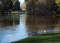 Click image for larger version

Name:	Flooded feed.jpg
Views:	39
Size:	316.7 KB
ID:	373777