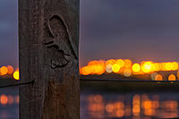 Click image for larger version

Name:	QAL-Bokeh.jpg
Views:	76
Size:	224.1 KB
ID:	375107