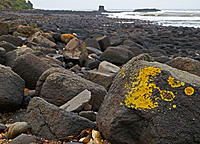 Click image for larger version

Name:	Lichen on Basalt.jpg
Views:	67
Size:	170.7 KB
ID:	377222