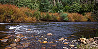 Click image for larger version

Name:	Rapids.jpg
Views:	83
Size:	218.8 KB
ID:	377594