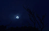 Click image for larger version

Name:	Moon shot.jpg
Views:	72
Size:	46.3 KB
ID:	379569