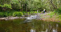 Click image for larger version

Name:	Dews at the creek 2_Fotor.jpg
Views:	74
Size:	798.4 KB
ID:	382439