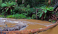 Click image for larger version

Name:	Chocky river.jpg
Views:	51
Size:	247.9 KB
ID:	383520