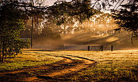 Click image for larger version

Name:	Misty Morning.jpg
Views:	84
Size:	245.9 KB
ID:	384683