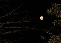 Click image for larger version

Name:	Super moon.jpg
Views:	66
Size:	54.5 KB
ID:	384827