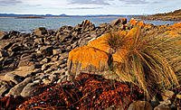 Click image for larger version

Name:	Seaweed.jpg
Views:	51
Size:	267.8 KB
ID:	385590