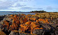 Click image for larger version

Name:	Coloured rocks.jpg
Views:	66
Size:	207.0 KB
ID:	385728